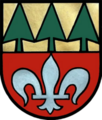 Logotyp Niederwaldkirchen