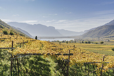 Bozen und Umgebung - Südtirols Süden