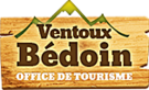 Logo Mont Ventoux Sud