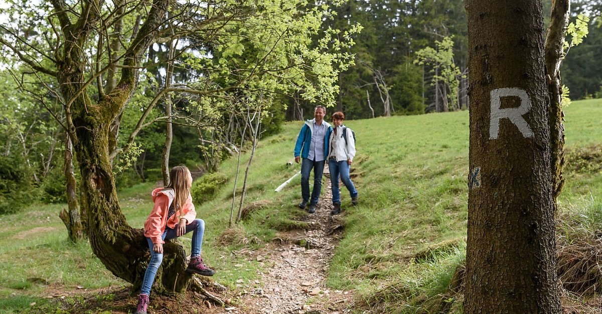 Etappe 1 7 Tage Wandern in Coburg.Rennsteig BERGFEX Wanderung