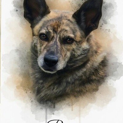 Avatar z Friedrich Schmitt