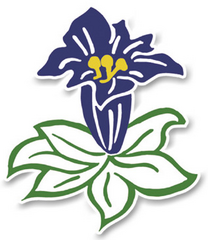 Logo Hotel Genziana