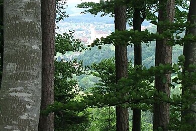 Thannhausen