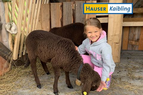 Hasen- und Schafstreichelstelle am Hauser Kaibling