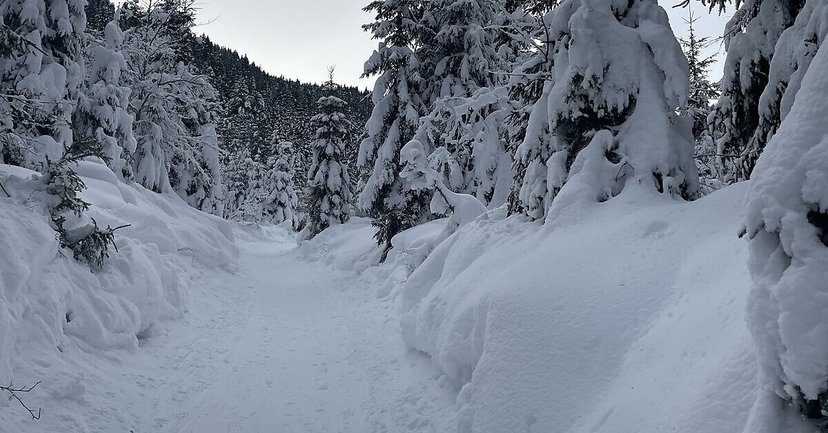 Von Tarvis zum Hochdorf am Monte Lussari - BERGFEX - Skitour - Tour ...