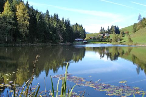 Badesee in Krakaudorf