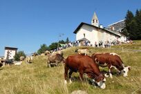 Sommerregion