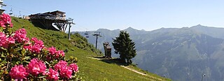 Donnersbachwald - Riesneralm