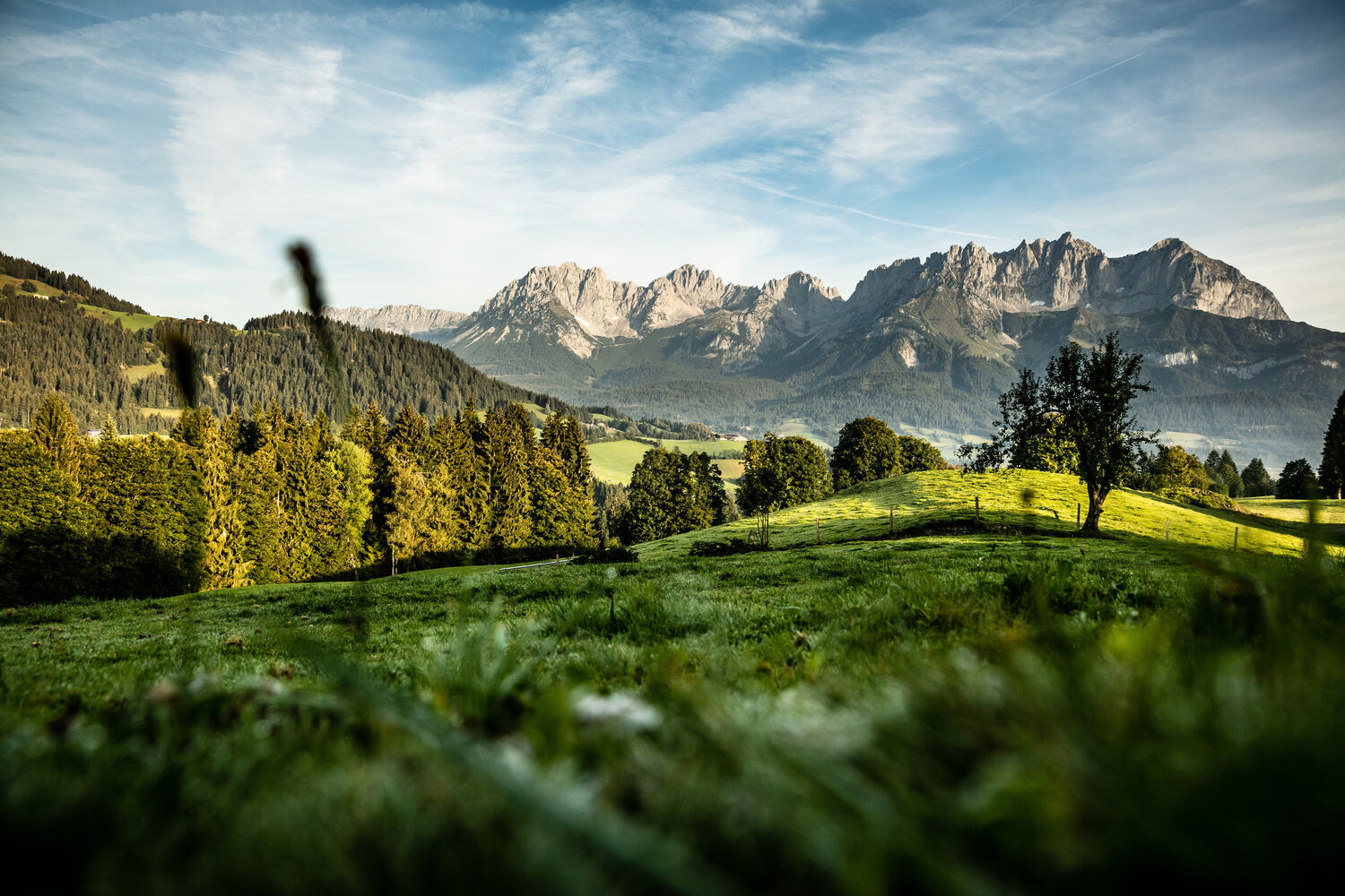 Kitzbüheler Alpen St. Johann in Tirol