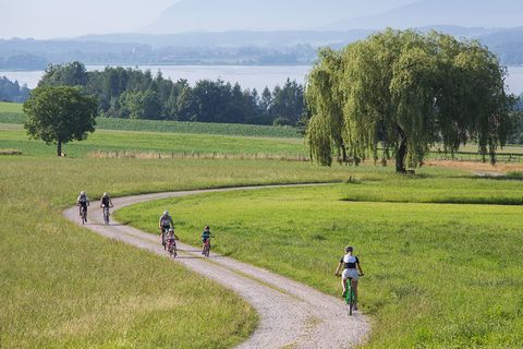 Radfahren am Waginger See
