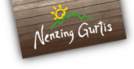 Logotyp Nenzing