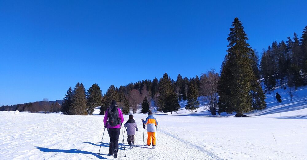 Snowshoe trail from Lélex to Crêt de la Neige - Pays de Gex Monts