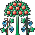 Logo Magden