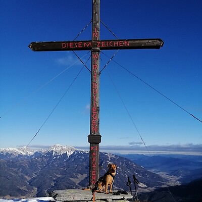 Avatar von Labmountain35