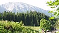 Letní region