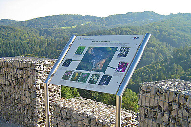 Abtsteinach