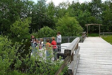 Seekirchen am Wallersee