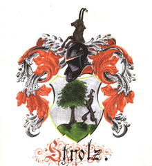 Logo Haus Markus Strolz