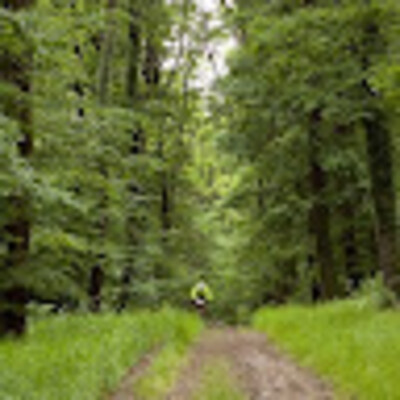 Avatar von Tamás Káldi