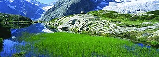 Pinzolo