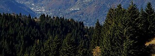 Ravascletto - Zoncolan