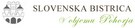 Logo Slovenska Bistrica
