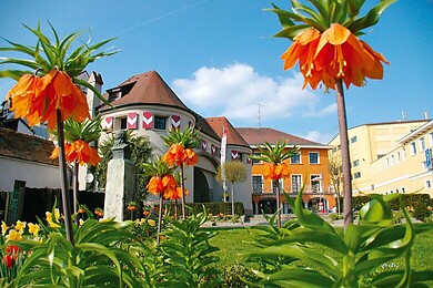 Schärding