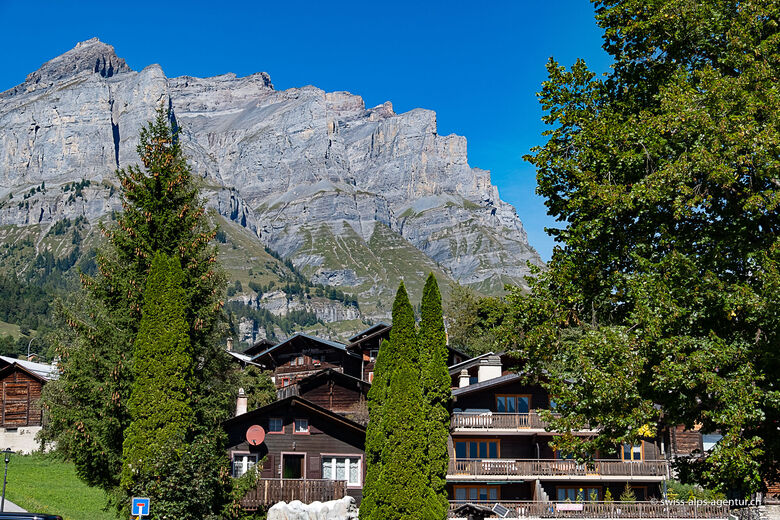Chalet Gemmi