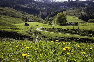 Rauris