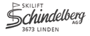 Logotip Skilift Linden