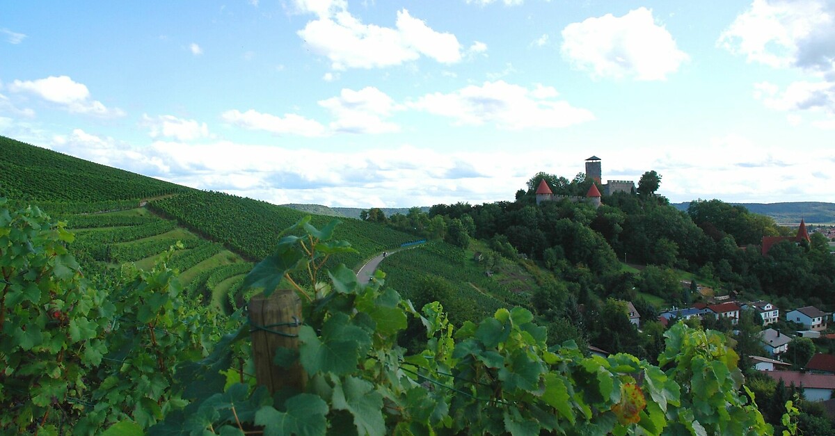 W Rttembergischer Weinwanderweg Etappe Talheim Beilstein Bergfex