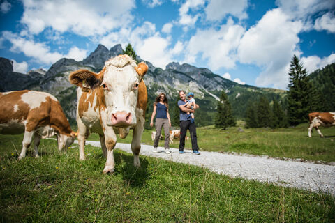 Wandern in Werfenweng