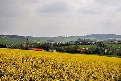 Treubach
