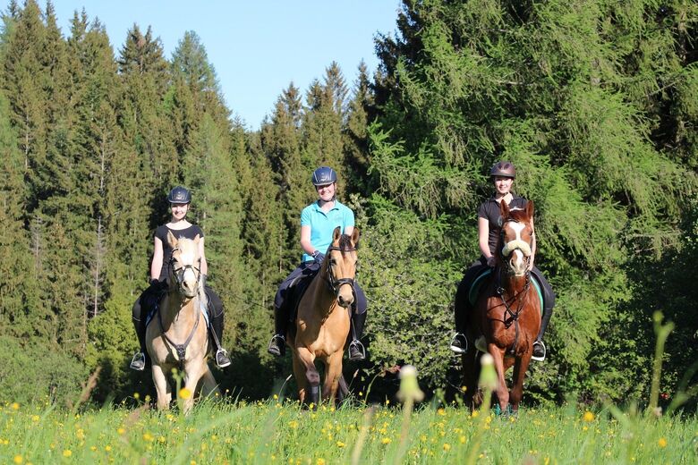 Das Leitner Home&Horse