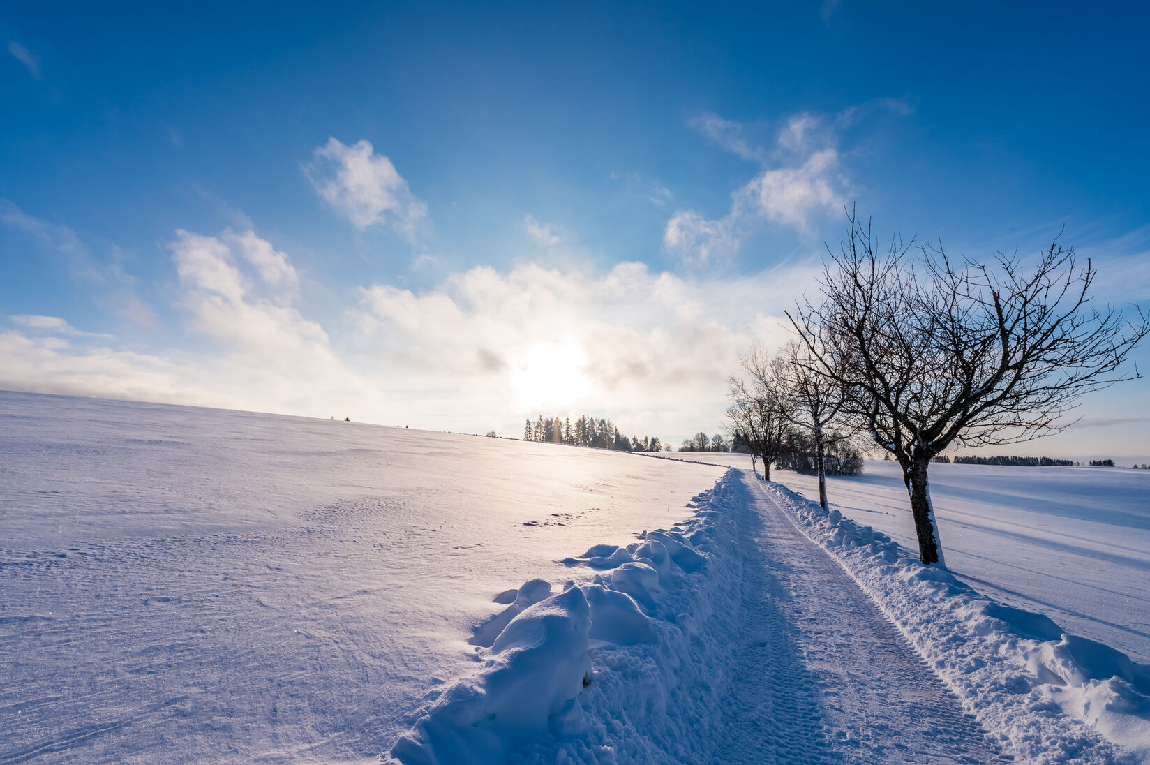 PistenplanSkigebiet Höchenschwand