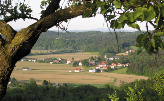 Heimschuh