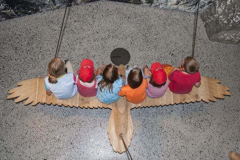 Nationalparkzentrum_Bartgeier