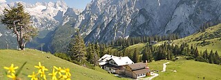 Gosau