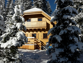 Logo Almhütte Flattnitz