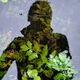 Avatar de Cher Batka