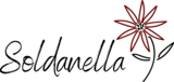 Logo von Ferienwohnungen Grächen