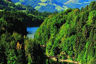 Moléson-sur-Gruyères