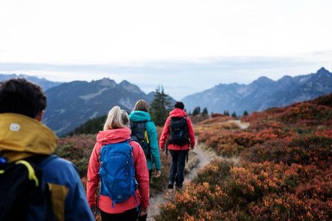 Herbstwanderung Muttjöchle - Montafon Tourismus GmbH - Matthias Fend - 083.jpg