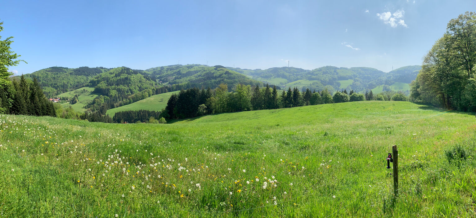 Freiamt im Schwarzwald