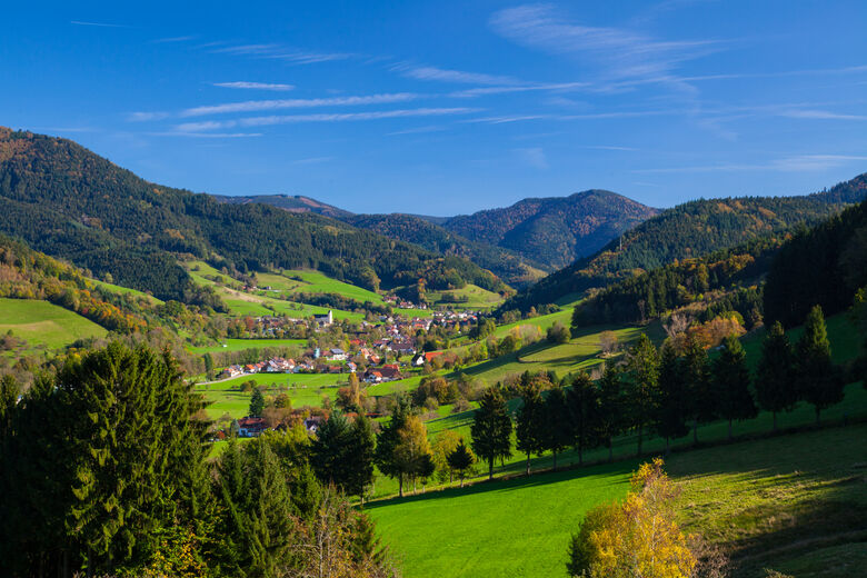 Simonswald