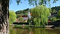 Kesäalue