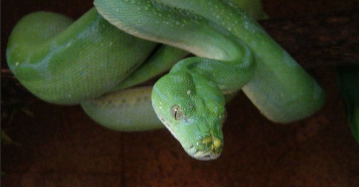 BERGFEXSehenswürdigkeiten Aquarium Terrarium Maribor Maribor