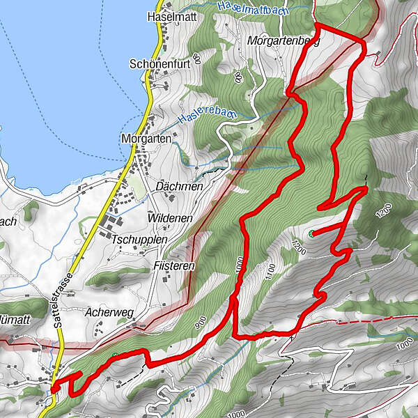 Rothenthurm Morgartenberg Alpwirtschaft Rapperli Sattel Bergfex