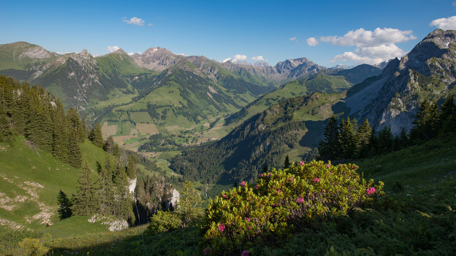 Naturpark Diemtigtal