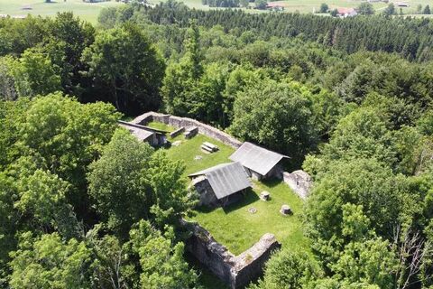 Burgruine Wolkenberg